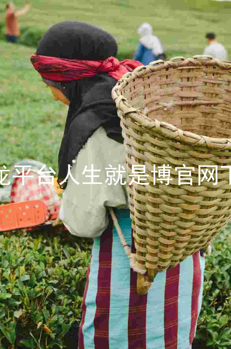 尊龙平台人生就是博官网下载