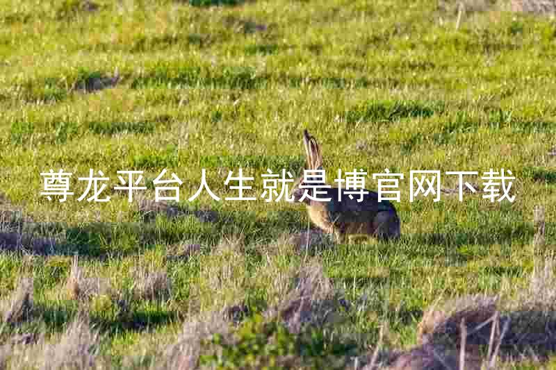 尊龙平台人生就是博官网下载