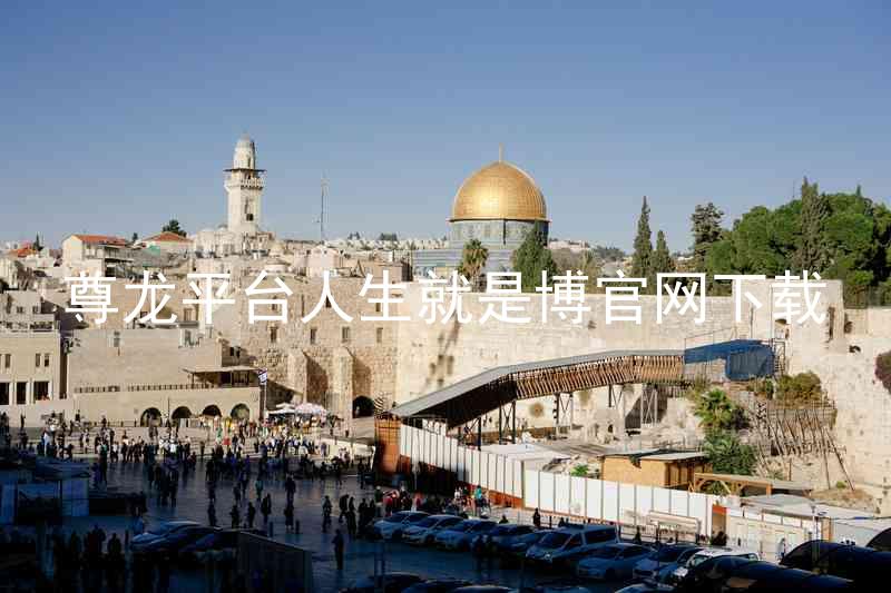尊龙平台人生就是博官网下载